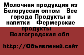 Молочная продукция из Белоруссии оптом - Все города Продукты и напитки » Фермерские продукты   . Волгоградская обл.